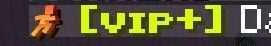 VIP PLUS RANK